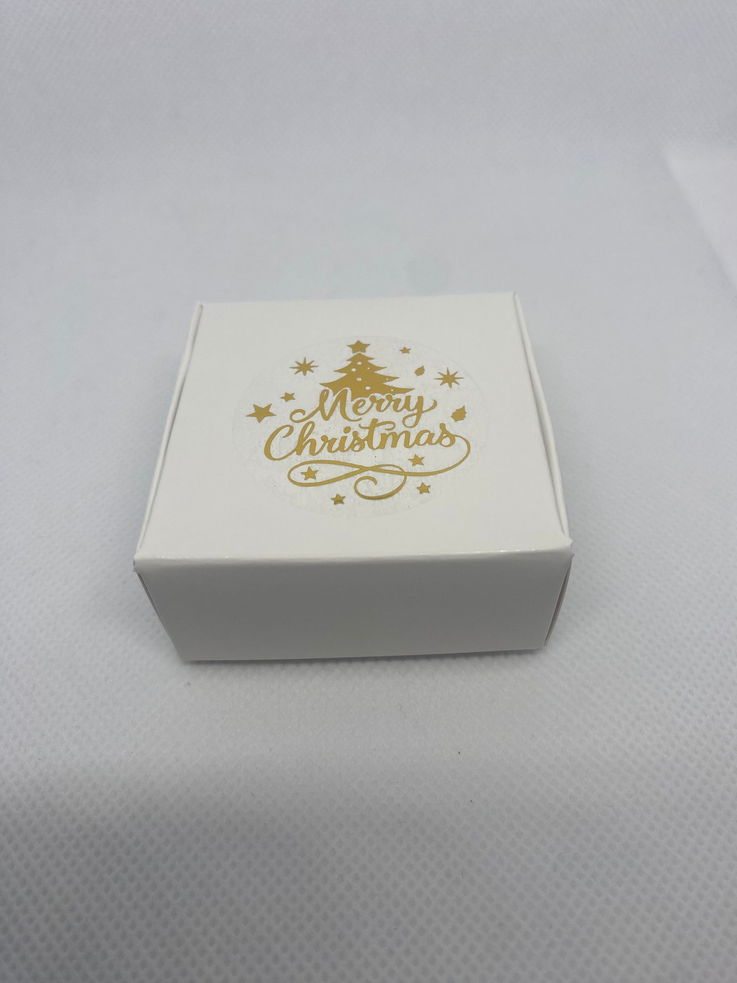 The Keepsake Santa Magic Coin